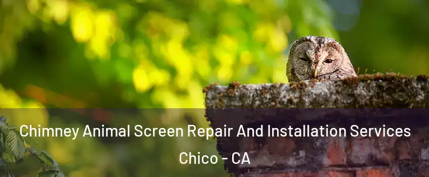  Chimney Animal Screen Repair And Installation Services Chico - CA