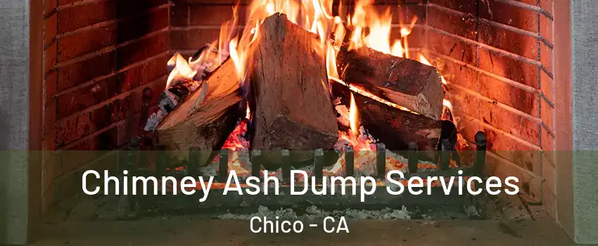 Chimney Ash Dump Services Chico - CA