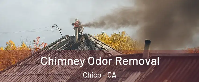  Chimney Odor Removal Chico - CA