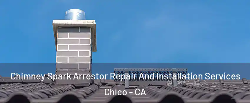  Chimney Spark Arrestor Repair And Installation Services Chico - CA