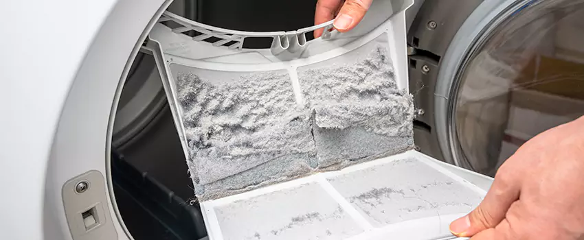 Best Dryer Lint Removal Company in Chico, California
