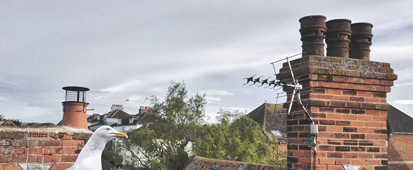 Chimney Cleaning And Restoration in Chico, California