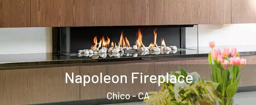  Napoleon Fireplace Chico - CA