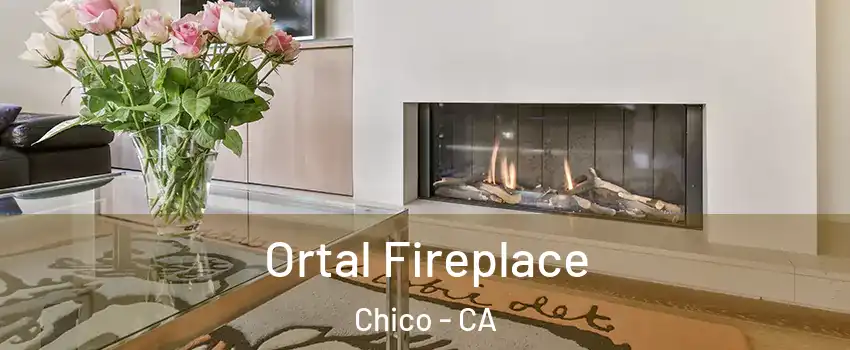  Ortal Fireplace Chico - CA